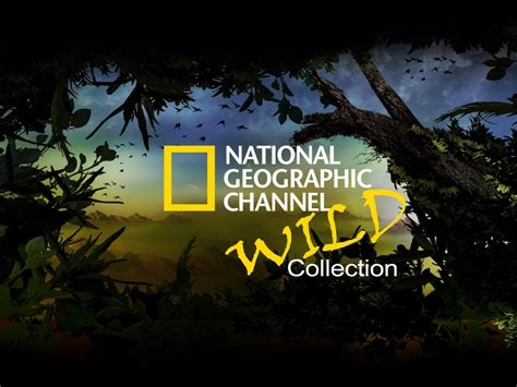 national geografit chanel|top 10 National Geographic shows.